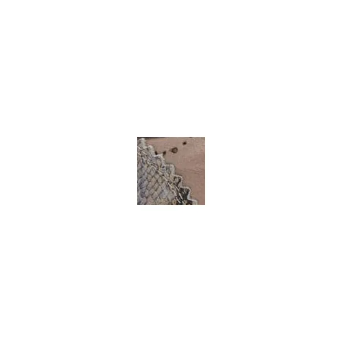 Casual Trainers Women Moda In Pelle Anatoli Stone Leather