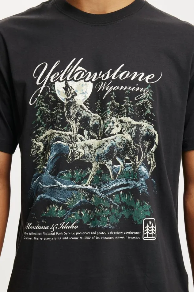 Cotton On Tees and Tanks Loose Fit Art TShirt Washed Blackwyoming Wolves 8211 Men Cotton On Tees and Tanks Loose Fit Art TShirt Washed Blackwyoming Wolves 8211 Men