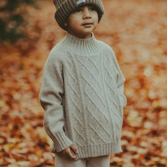 Donsje Amsterdam Sweaters and Cardigans Boys Jos Merino Wool Sweater Taupe Melange
