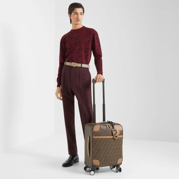 Man Brown Ff Fabric Trolley Brown Fendi Travel Bags