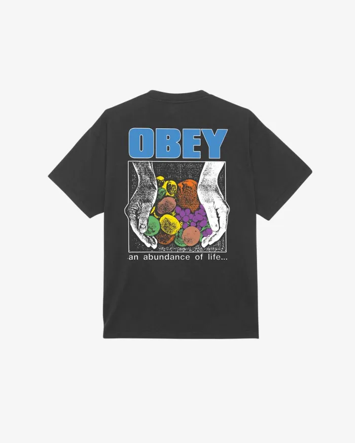 Men AN ABUNDANCE OF LIFE HEAVYWEIGHT TSHIRT Adventure Green OBEY Clothing TSHIRTS Men AN ABUNDANCE OF LIFE HEAVYWEIGHT TSHIRT Adventure Green OBEY Clothing TSHIRTS