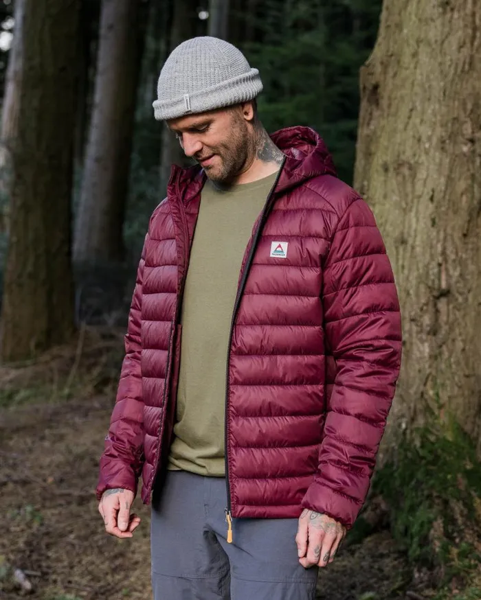 Men Jackets Passenger Roamer Recycled 20 Insulated Jacket Wine Wine