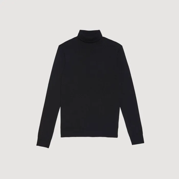 Men Sweaters and Cardigans SANDRO Roll Neck Wool Sweater Black