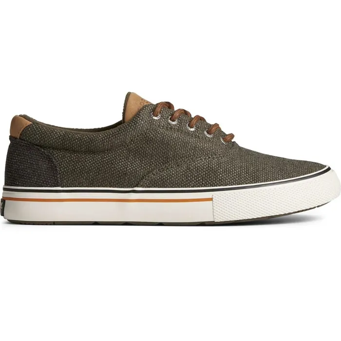 Sneakers Men Sperry Seacycled Striper Storm CVO Sneaker Olive