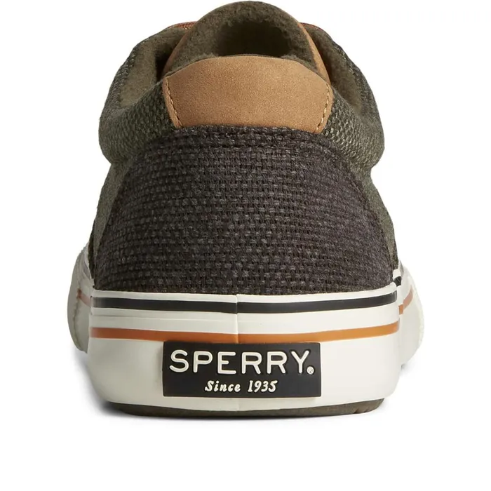 Sneakers Men Sperry Seacycled Striper Storm CVO Sneaker Olive Sneakers Men Sperry Seacycled Striper Storm CVO Sneaker Olive