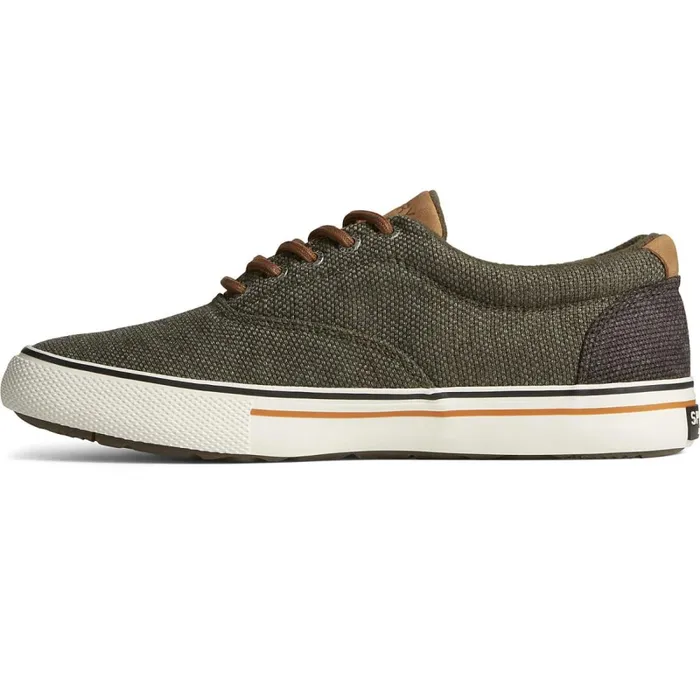 Sneakers Men Sperry Seacycled Striper Storm CVO Sneaker Olive Sneakers Men Sperry Seacycled Striper Storm CVO Sneaker Olive