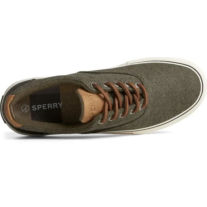 Sneakers Men Sperry Seacycled Striper Storm CVO Sneaker Olive Sneakers Men Sperry Seacycled Striper Storm CVO Sneaker Olive