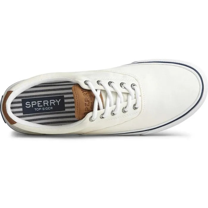 Sneakers Men Sperry Striper II CVO Sneaker Salt Washed White
