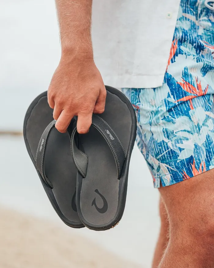 Tommy Bahama OluKai Nalu Slide Sandals Dark Java MenBig and Tall Shoes and Sandals Tommy Bahama OluKai Nalu Slide Sandals Dark Java MenBig and Tall Shoes and Sandals