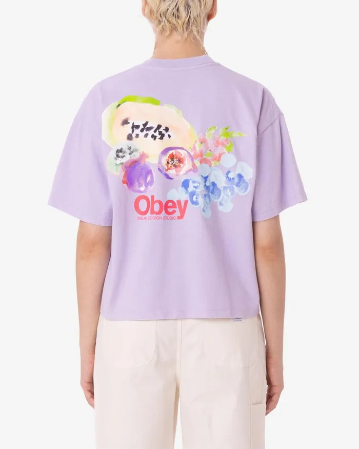Women SOFT FRUIT RAEGAN TSHIRT White OBEY Clothing TSHIRTS