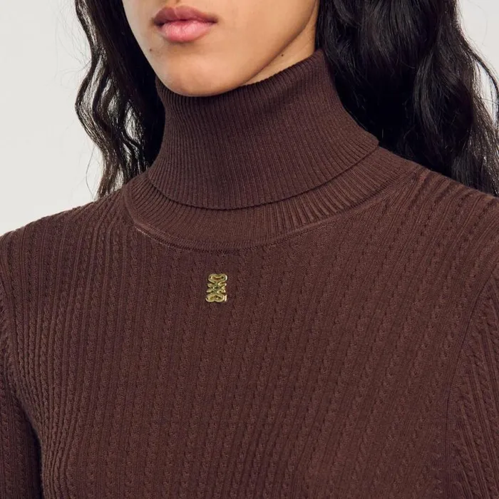 Women Sweaters and Cardigans SANDRO Turtleneck Sweater Brown
